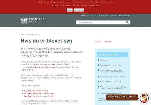 
                            11. Hvis du er blevet syg | Roskilde Kommune