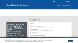 
                            9. Hypo Alpe-Adria-Bank SpA: Homepage