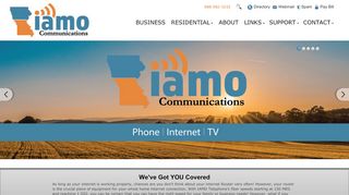 
                            3. IAMO Telephone Company