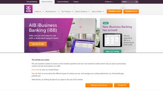 
                            6. iBusiness Banking (iBB) - AIB