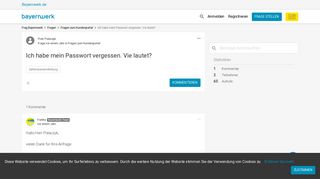 
                            4. Ich habe mein Passwort vergessen. Vie lautet? | Bayernwerk
