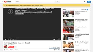 
                            8. Improving your horses manners in the stall - YouTube