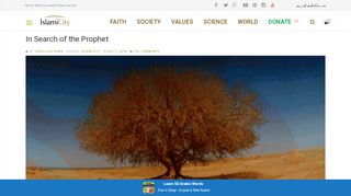 
                            10. In Search of the Prophet - IslamiCity
