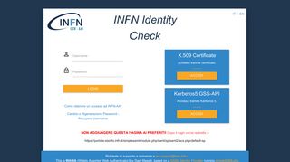 
                            2. INFN Identity Check