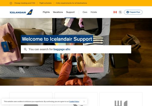 
                            6. Information | Icelandair