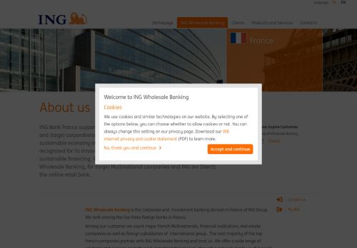 
                            11. ING Bank France - ING Wholesale Banking