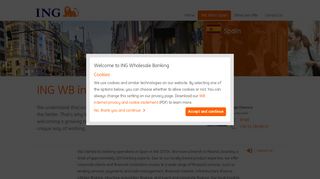 
                            12. ING Bank Spain