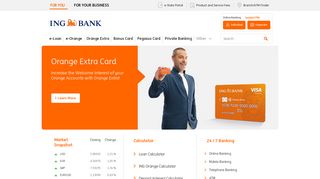 
                            10. ING Bank