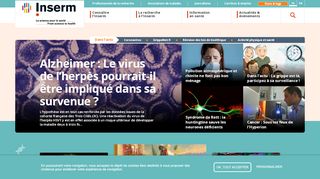 
                            12. | Inserm - La science pour la santé