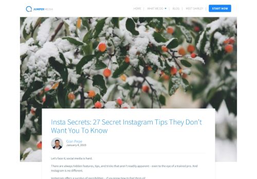 
                            12. Insta Secrets: 27 Secret Instagram Tips They Don't Want You To Know ...