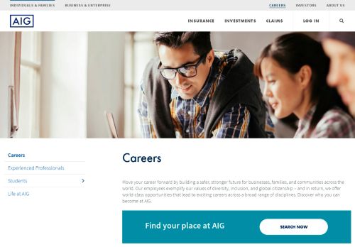 
                            12. Insurance Jobs at AIG - AIG Careers