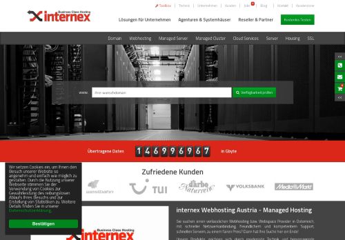 
                            3. Internex