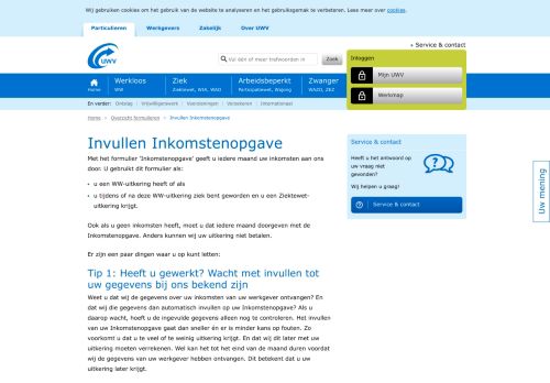 
                            4. Invullen Inkomstenopgave | UWV | Particulieren