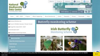 
                            5. Irish Butterfly Monitoring Scheme - Biodiversity Ireland