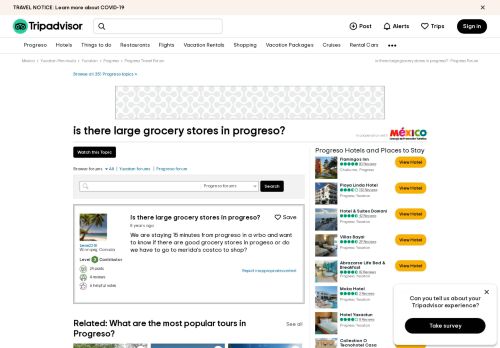 
                            11. is there large grocery stores in progreso? - Progreso Forum ...