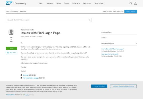 
                            4. Issues with Fiori Login Page - archive SAP