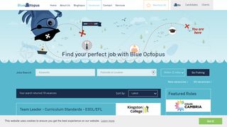 
                            2. Job Vacancies | Blue Octopus Recruitment