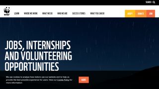 
                            7. Jobs, internships and volunteering opportunities | WWF