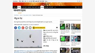 
                            7. jokes in hindi: नींबू का पेड़ - teacher and ... - Navbharat Times