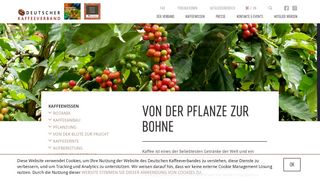 
                            8. Kaffeewissen - Deutscher Kaffeeverband