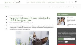 
                            10. Kamer geïnformeerd over misstanden bij fok designer cats - Animals ...