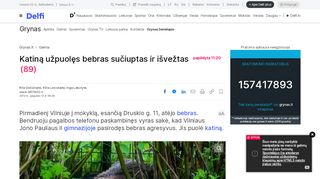 
                            12. Katiną užpuolęs bebras sučiuptas ir išvežtas - Grynas.lt - Delfi