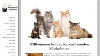 
                            10. Katzenfreunde Königslutter - Startseite