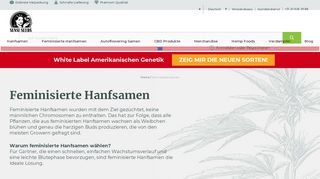 
                            4. Kaufen Sie feminisierte Hanfsamen online - Sensi Seeds