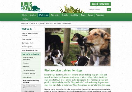 
                            6. Kiwis for kiwi - What we do - Avoidance Training for Dogs