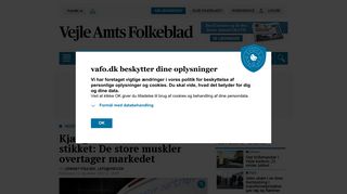 
                            3. Kjærgaard-Nettet trækker stikket: De store muskler overtager markedet ...