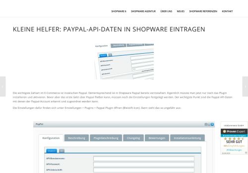 
                            4. Kleine Helfer: Paypal-API-Daten in Shopware eintragen - intoCommerce