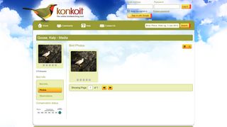 
                            8. Konkoit - Bird Media