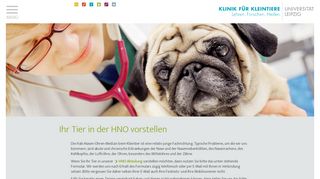 
                            8. Kontakt zur HNO - Klinik für Kleintiere - Universität Leipzig