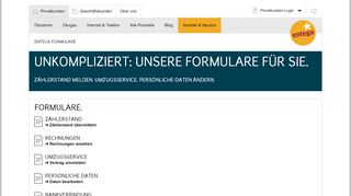 
                            5. Kundenservice ENTEGA: Formulare und Services