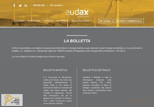 
                            8. La bolletta - Audax Energia