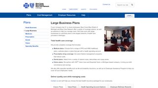 
                            6. Large Business Health Plan Options | Employers | bcbsm.com