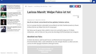 
                            1. Larissa Marolt: Welpe Falco ist tot | GMX