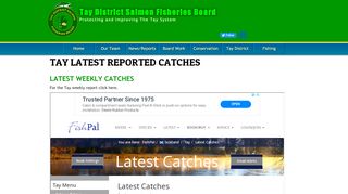 
                            10. Latest Catches - Tay District Salmon Fisheries Board
