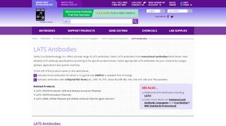 
                            13. LATS Antibody | SCBT - Santa Cruz Biotechnology