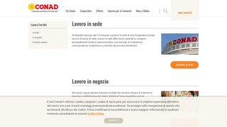 
                            12. Lavora con noi | Conad