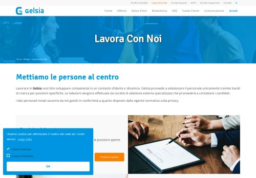 
                            13. Lavora con noi - Gelsia Srl