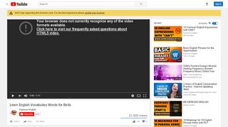 
                            8. Learn English Vocabulary Words for Birds - YouTube