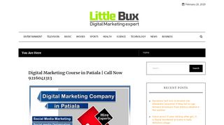 
                            2. Little Bux – Just another WordPress site