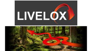 
                            5. Livelox GPS Logger - Florida Orienteering
