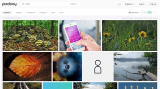 
                            4. Log In Images · Pixabay · Download Free Pictures