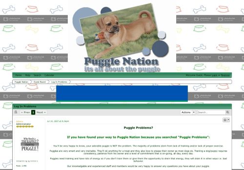 
                            3. Log In Problems | Puggle Nation
