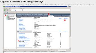 
                            4. Log into a VMware ESXi using SSH keys