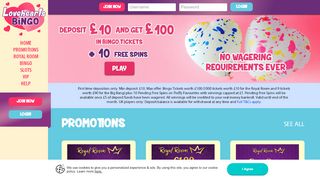 
                            9. Lovehearts Bingo: Home Page