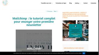 
                            7. Mailchimp : le tutoriel complet et en français - Faites bouger vos ID