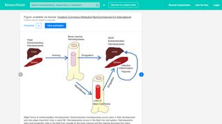 
                            5. Major forms of extramedullary hematopoiesis. Extramedullary ...